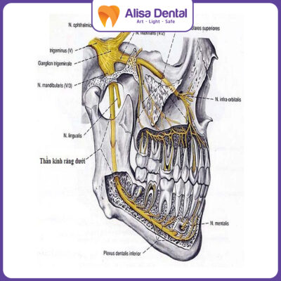 Trồng răng Implant