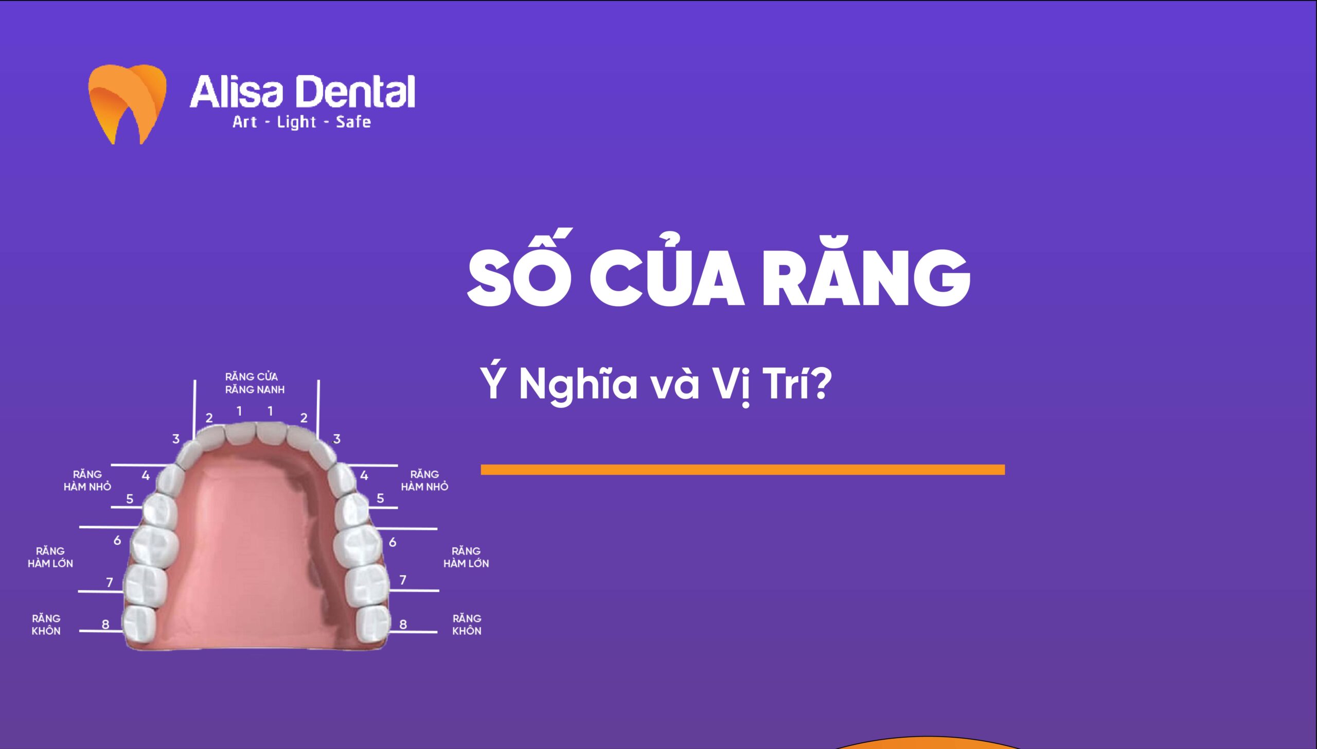 Số của Răng: Ý Nghĩa và Vị Trí