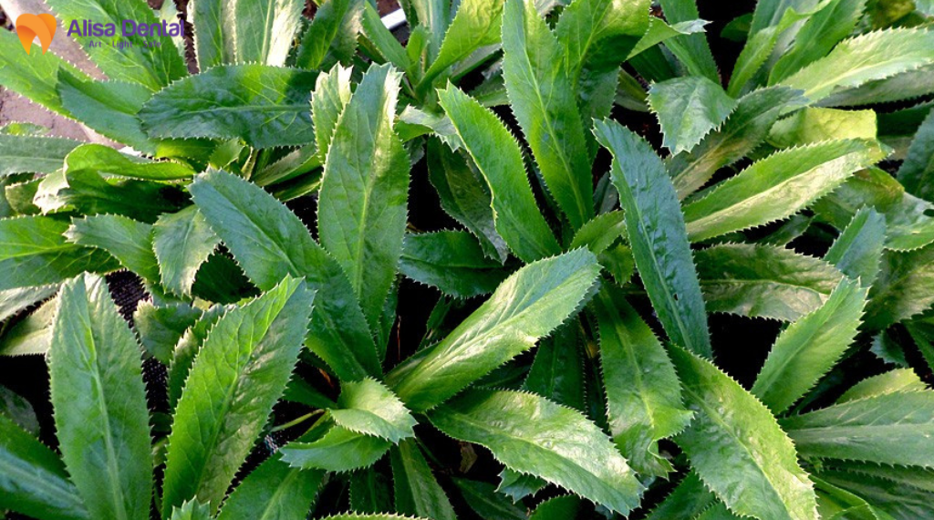 chua-hoi-mieng-don-gian